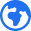 Vector